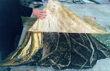 Stage 6